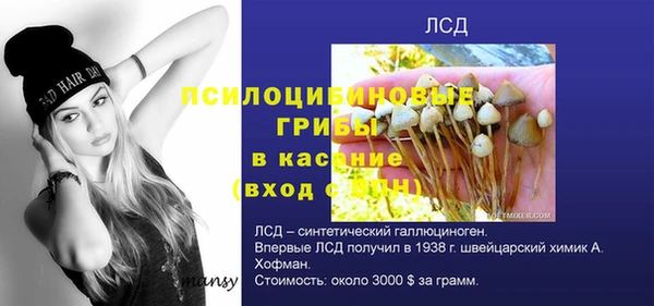 спиды Нязепетровск