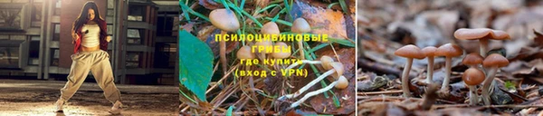 ALPHA-PVP Нягань