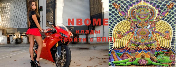дживик Няндома