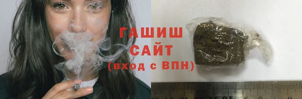 дживик Няндома