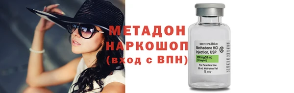 стаф Новозыбков