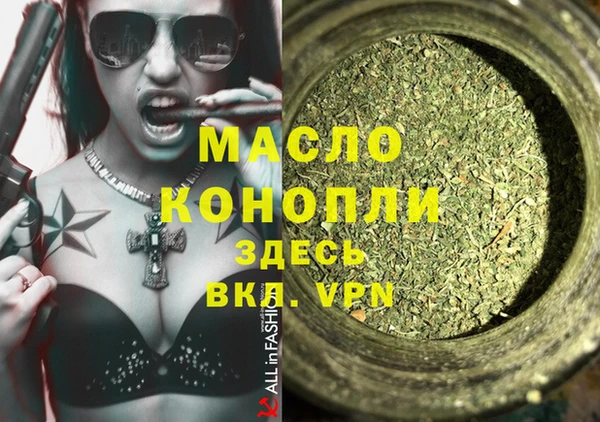 дживик Няндома
