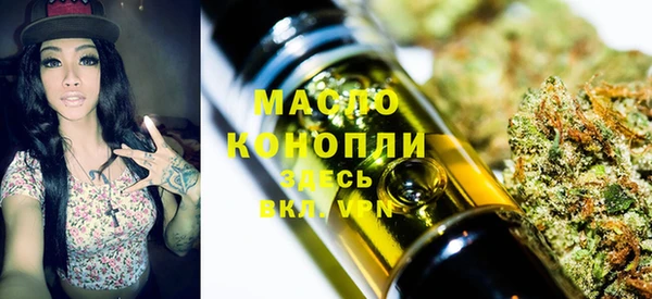 дживик Няндома