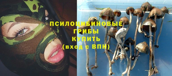 стаф Новозыбков