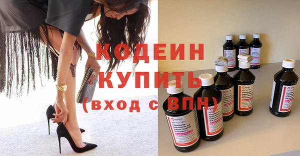 стаф Новозыбков