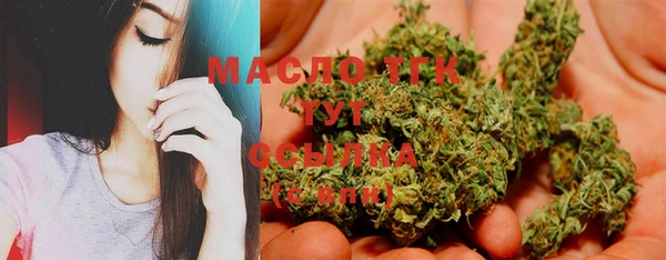 стаф Новозыбков